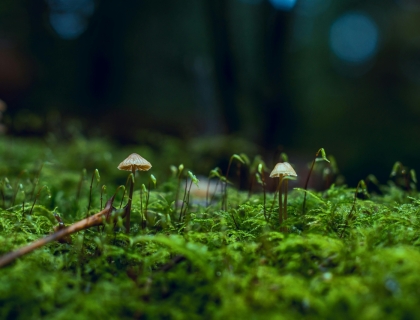 Vận hành & bảo trì hệ thống điện NLMT